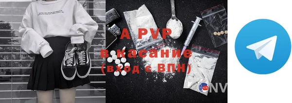 PSILOCYBIN Балабаново