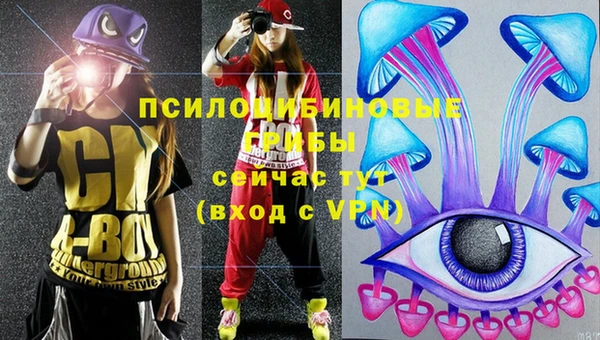 PSILOCYBIN Балабаново