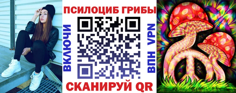 Галлюциногенные грибы прущие грибы  мега tor  Нюрба  где продают наркотики 
